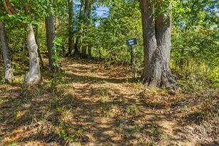 456 Maney Br Rd, Burnsville, NC 28714 - Photo 26
