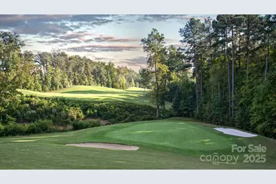 16617 Cozy Cove Road, Charlotte, NC 28278 - Photo 44