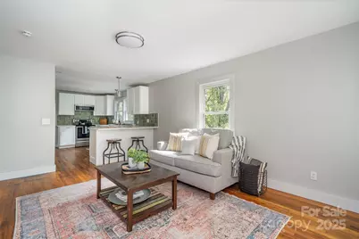 300 Pisgah View Road, Asheville, NC 28806 - Photo 8