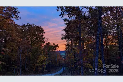 343 E Marshall Ridge Road, Hendersonville, NC 28792 - Photo 38