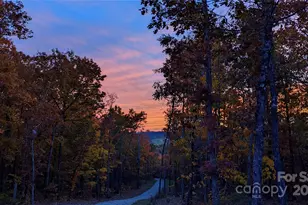 343 E Marshall Ridge Rd, Hendersonville, NC 28792 - Photo 38