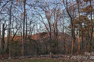 343 E Marshall Ridge Rd, Hendersonville, NC 28792 - Photo 30