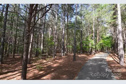 3213 Lake Pointe Drive, Belmont, NC 28012 - Photo 24