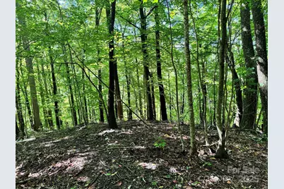 2252 Cutshall Town Road, Marshall, NC 28753 - Photo 34