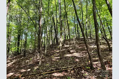 2252 Cutshall Town Road, Marshall, NC 28753 - Photo 32