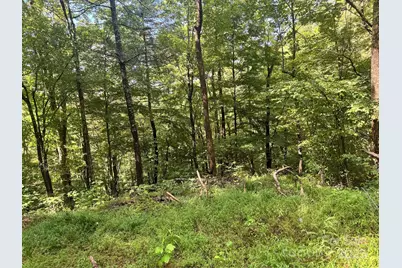 2252 Cutshall Town Road, Marshall, NC 28753 - Photo 10