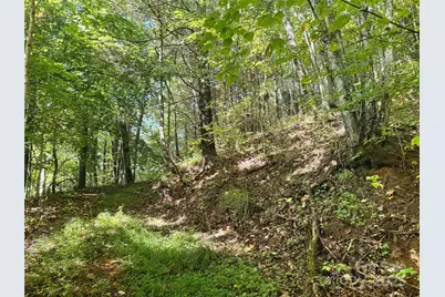 2252 Cutshall Town Road, Marshall, NC 28753 - Photo 8