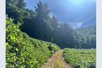 2252 Cutshall Town Road, Marshall, NC 28753 - Photo 1