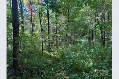 2252 Cutshall Town Road, Marshall, NC 28753 - Photo 18