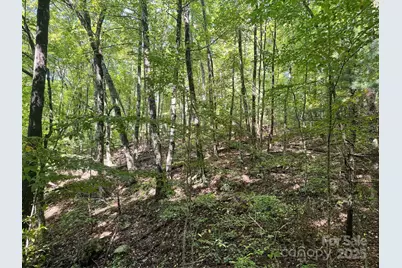 2252 Cutshall Town Road, Marshall, NC 28753 - Photo 12