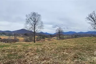 62 Douglas Dr, Leicester, NC 28748 - Photo 30