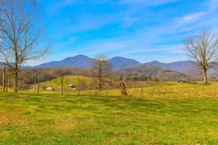 62 Douglas Dr, Leicester, NC 28748 - Photo 2