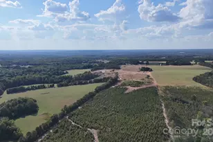 891 Longbranch Rd, Jefferson, SC 29718 - Photo 8