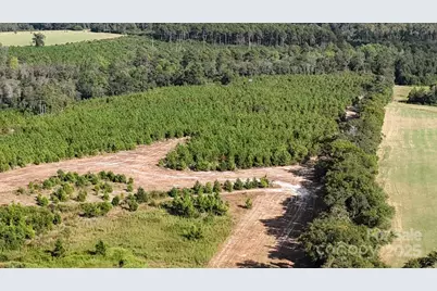 891 Longbranch Road, Jefferson, SC 29718 - Photo 10