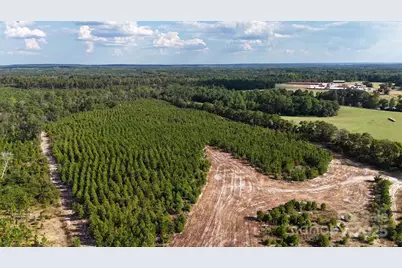 891 Longbranch Road, Jefferson, SC 29718 - Photo 6