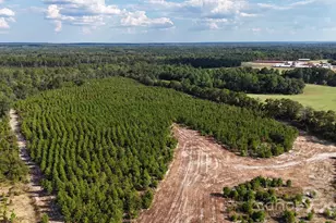 891 Longbranch Rd, Jefferson, SC 29718 - Photo 6