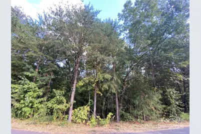 1301 Shadowfax Wynd None #51, Hickory, NC 28602 - Photo 1