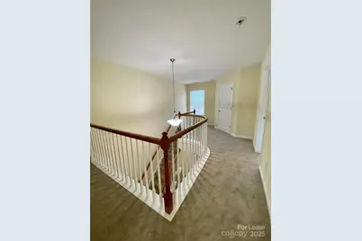 13017 Reunion Street, Charlotte, NC 28278 - Photo 8