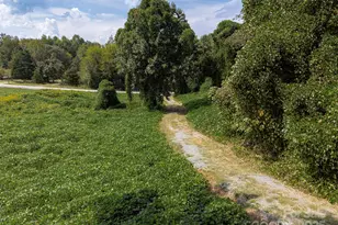 259 Roberts Rd, Blacksburg, SC 29702 - Photo 8