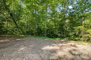 750 Braewick Rd, Tryon, NC 28782 - Photo 42