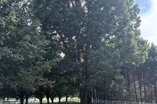 7901 Saddleview Ct, Charlotte, NC 28105 - Photo 22