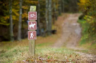 5684 Low Country Rd, Lenoir, NC 28645 - Photo 20