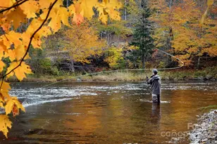 5684 Low Country Rd, Lenoir, NC 28645 - Photo 24