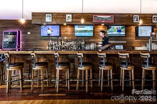 352 Bolt Rd, Lake Lure, NC 28746 - Photo 32