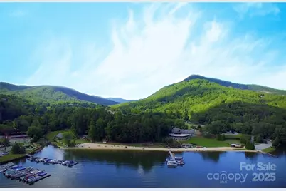 352 Bolt Road, Lake Lure, NC 28746 - Photo 24