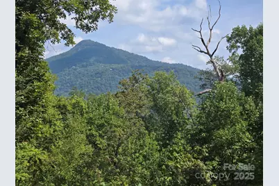 352 Bolt Road, Lake Lure, NC 28746 - Photo 2