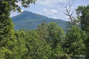 352 Bolt Rd, Lake Lure, NC 28746 - Photo 2