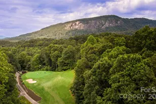 352 Bolt Rd, Lake Lure, NC 28746 - Photo 26