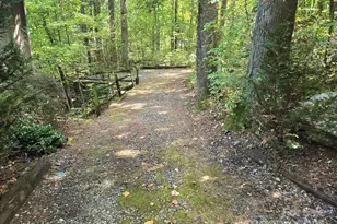 352 Bolt Rd, Lake Lure, NC 28746 - Photo 4