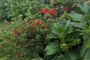 10 Cotton Creek Cir, Black Mountain, NC 28711 - Photo 44