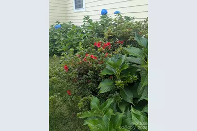 10 Cotton Creek Circle, Black Mountain, NC 28711 - Photo 46