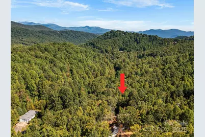 233 Arcadia Falls Way, Black Mountain, NC 28711 - Photo 42