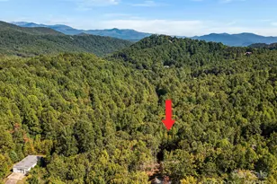 233 Arcadia Fls Wy, Black Mountain, NC 28711 - Photo 42