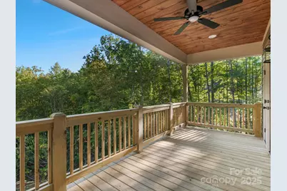233 Arcadia Falls Way, Black Mountain, NC 28711 - Photo 20