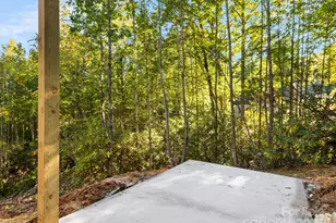 233 Arcadia Fls Wy, Black Mountain, NC 28711 - Photo 36