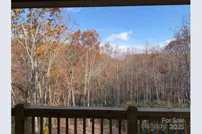 233 Arcadia Falls Way, Black Mountain, NC 28711 - Photo 10