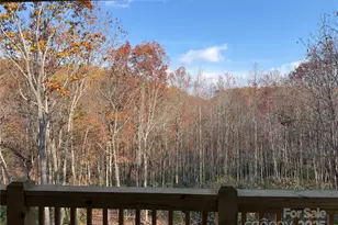 233 Arcadia Fls Wy, Black Mountain, NC 28711 - Photo 10