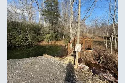 233 Arcadia Falls Way, Black Mountain, NC 28711 - Photo 6