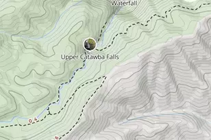 233 Arcadia Fls Wy, Black Mountain, NC 28711 - Photo 48