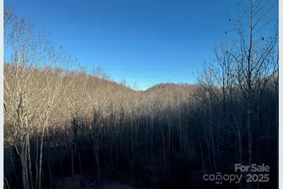 233 Arcadia Falls Way, Black Mountain, NC 28711 - Photo 44