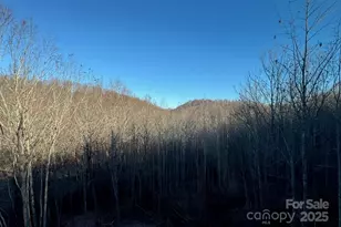 233 Arcadia Fls Wy, Black Mountain, NC 28711 - Photo 44