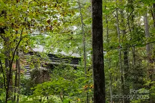 3218 Auld Farm Dr, Lenoir, NC 28645 - Photo 14