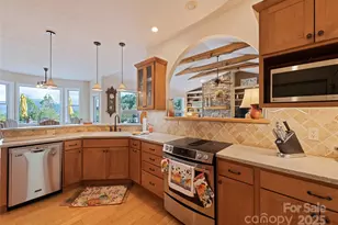 966 Coyote Hollow Rd, Waynesville, NC 28785 - Photo 12