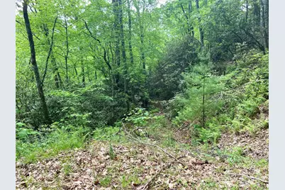 Lot 10 Mystic Forest Way #10, Bryson City, NC 28713 - Photo 1
