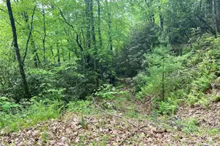 Lot 10 Mystic Forest Way, Bryson City, NC 28713 - Photo 1