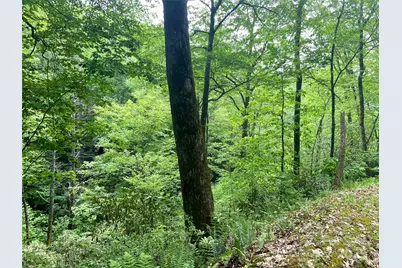 Lot 10 Mystic Forest Way #10, Bryson City, NC 28713 - Photo 2